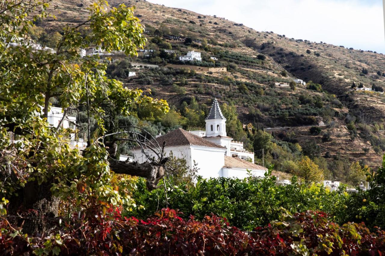 Apartment Tuguest Alpujarra